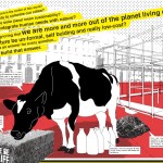 The Cow Project